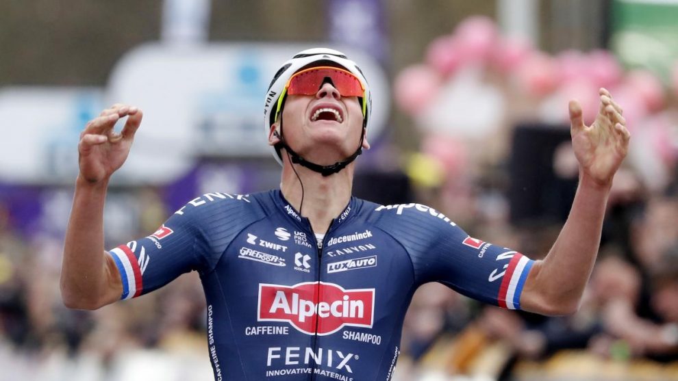 Van der Poel Valonia