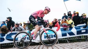 powless renueva ef education