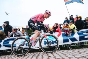 powless renueva ef education