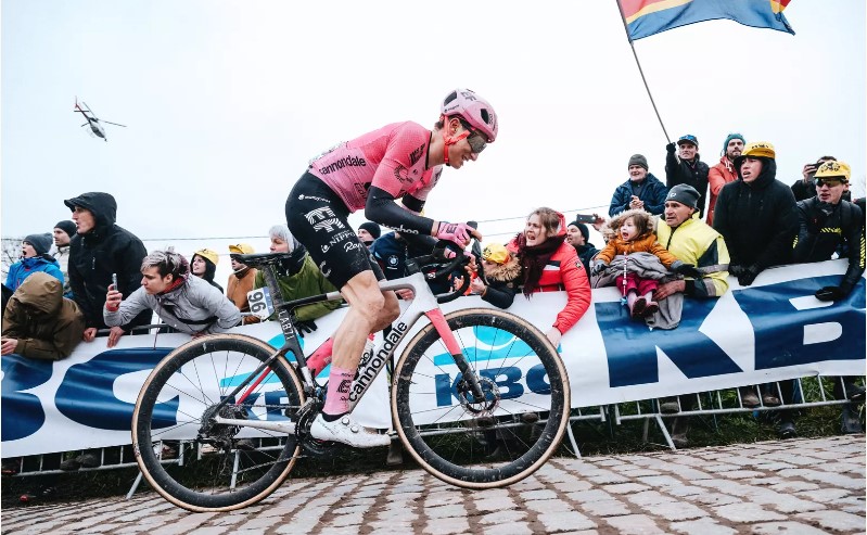 powless renueva ef education