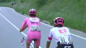 del toro perdieron giro