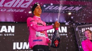 del toro reforzado giro