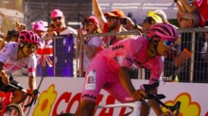 finestre romper maglia rosa