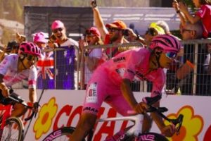 finestre romper maglia rosa
