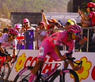 finestre romper maglia rosa