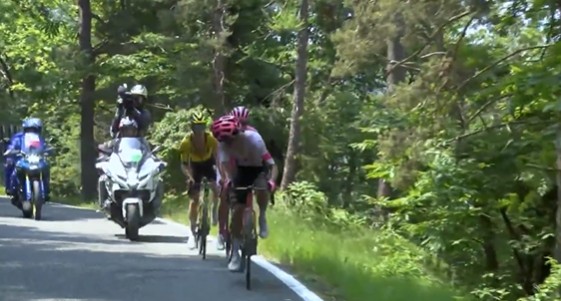 carapaz mas fuertes inteligente