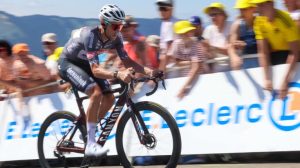 q36.5 xandro meurisse