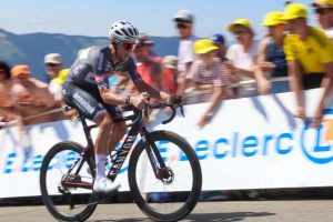 q36.5 xandro meurisse