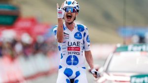 uae nuevo triunfo vine